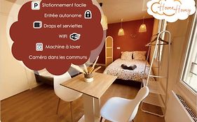 Le Wild Terracotta - Home Homy